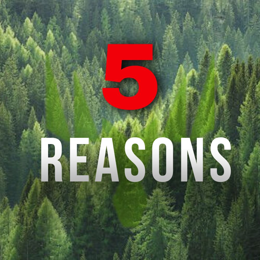 5 Reasons to Choose KATRIN!