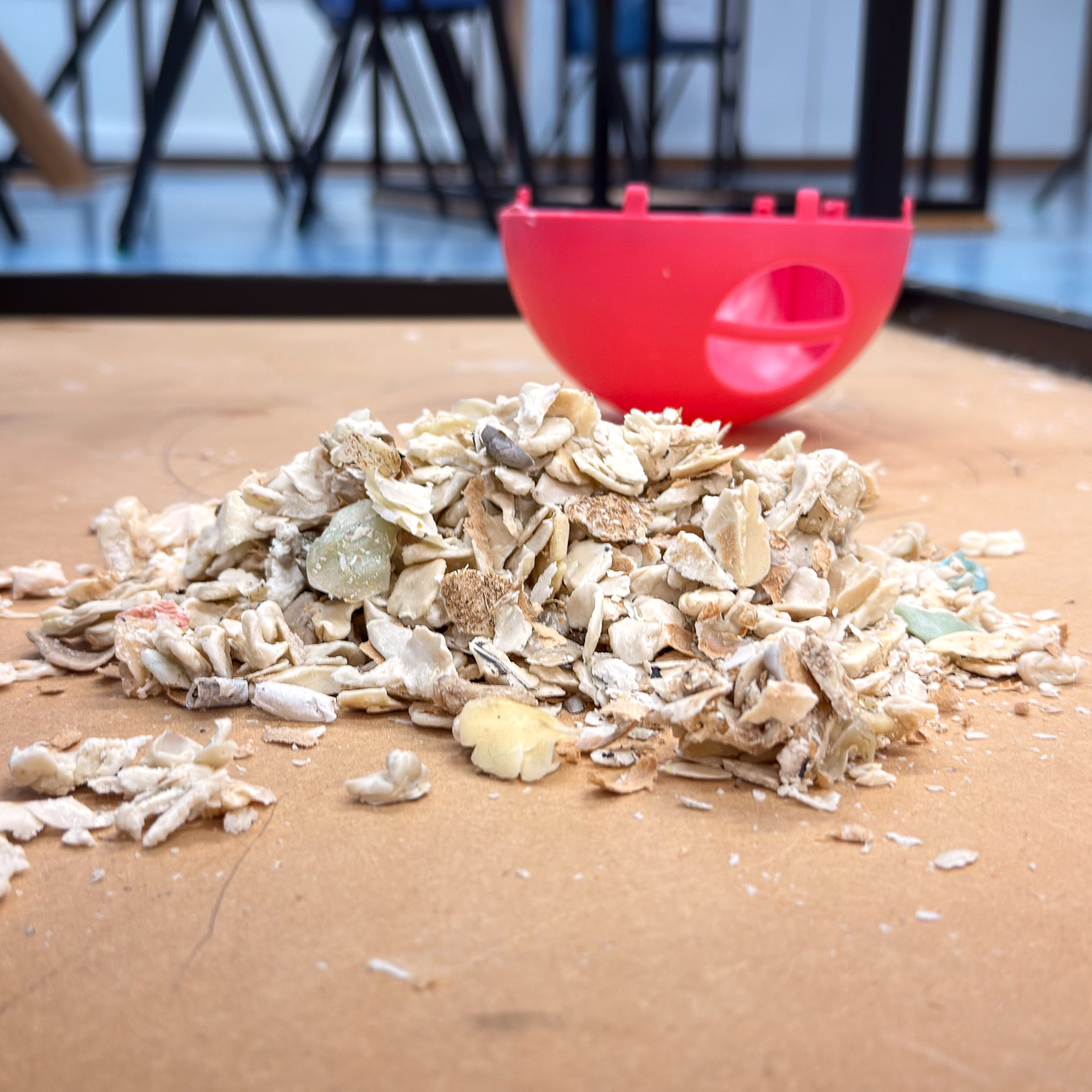 Guess how much chewing gum was in one classroom?